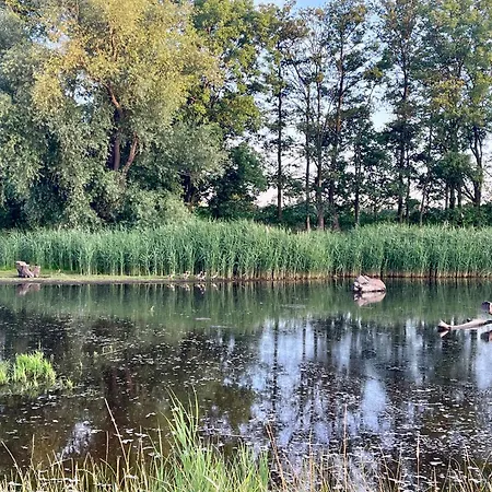 Maisonette-apartment-mit Glassfaseranschluss 아파트 *