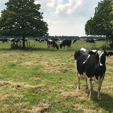 아파트 Maisonette-apartment-mit Glassfaseranschluss 브뤼겐