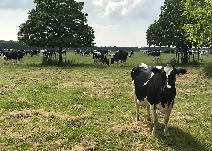 Lejlighed Luettelhome, Moderne Ferienwohnung Im Gruenen Mit Highspeed-Glasfaser Bruggen (Viersen)
